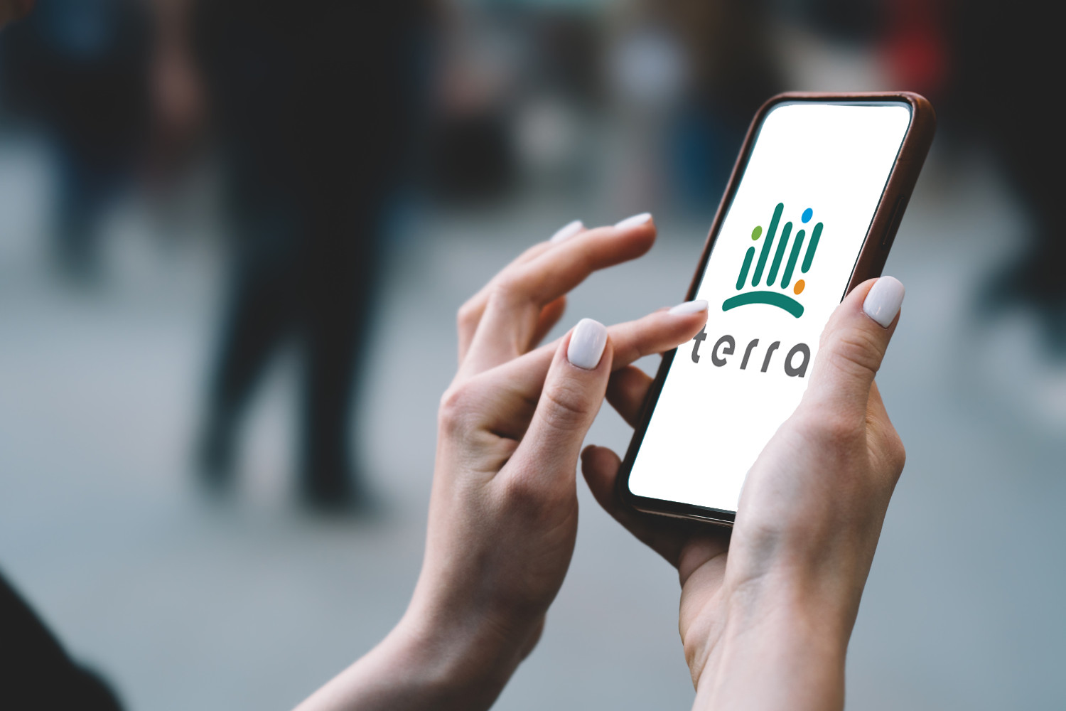 comprehensive-hr-solutions-for-businesses-terra-hr-system-and-terra-payroll