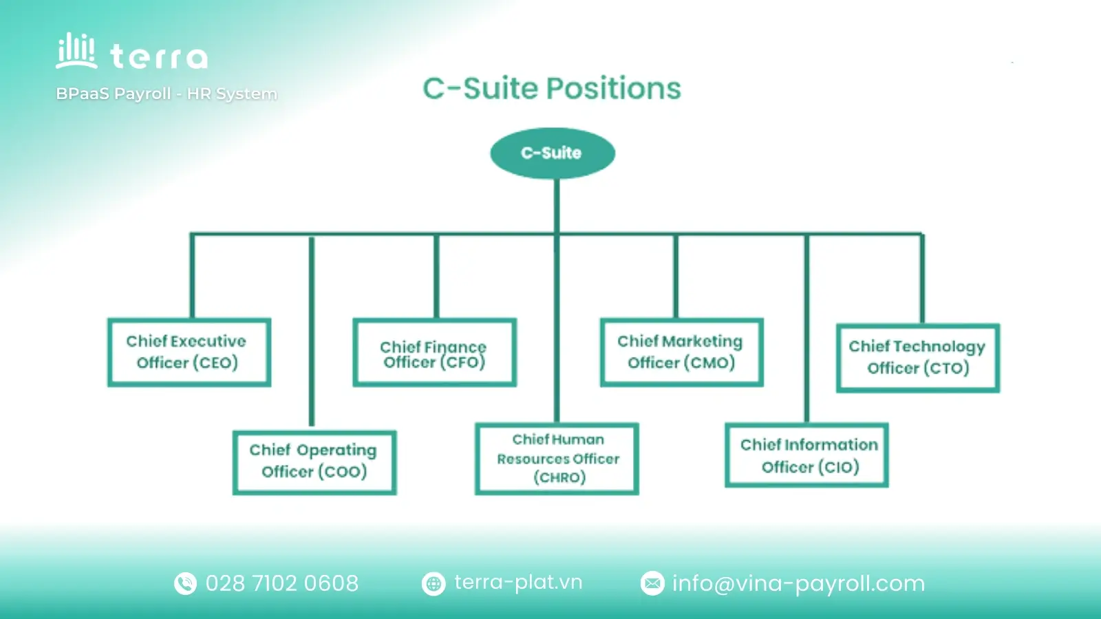 High paying C-suite roles and key positions in Vietnam