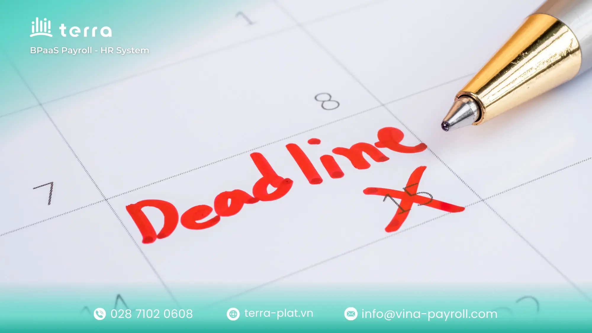 Unemployment insurance application deadline and timeline