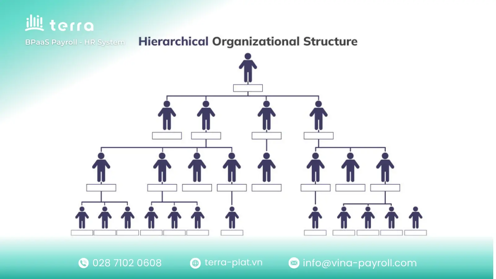 Hierarchical organizational structure with centralized authority levels