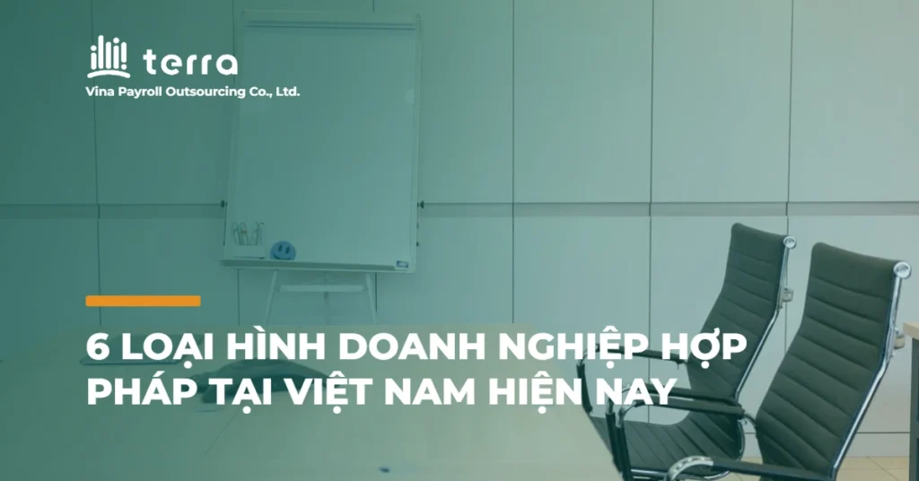 6 Loại hình doanh nghiệp hợp pháp tại Việt Nam hiện nay