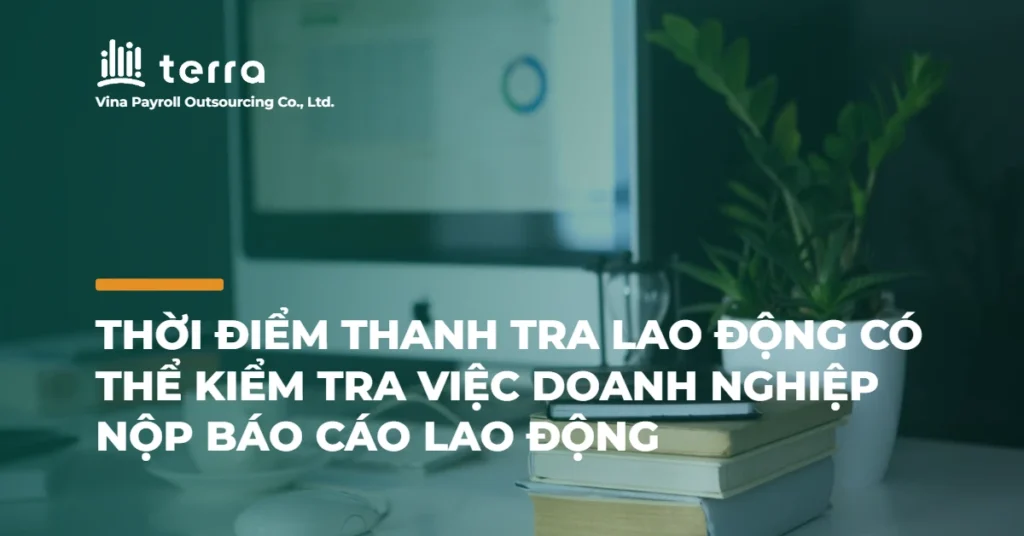 Thời điểm thanh tra lao động có thể kiểm tra việc doanh nghiệp nộp Báo cáo lao động