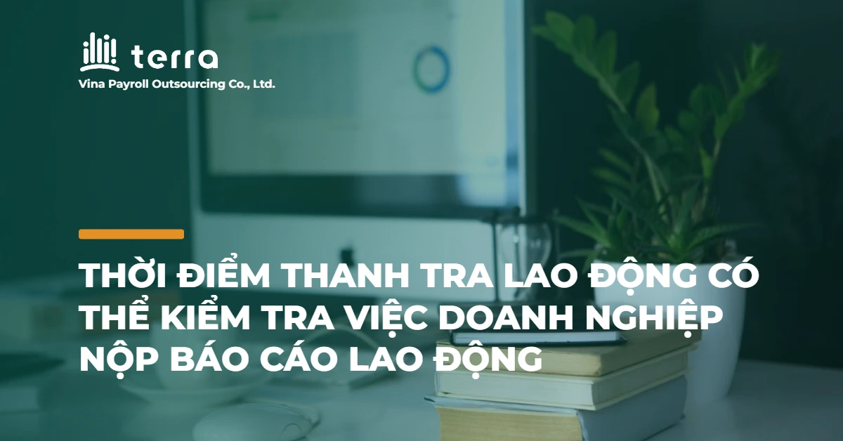 Thời điểm thanh tra lao động có thể kiểm tra việc doanh nghiệp nộp Báo cáo lao động