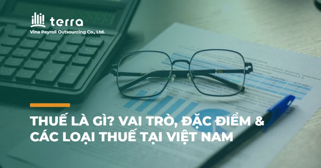 Thuế là gì? Vai trò, đặc điểm & các loại thuế tại Việt Nam