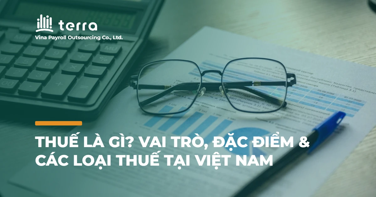 Thuế là gì? Vai trò, đặc điểm & các loại thuế tại Việt Nam